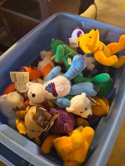 Bin full of collectable plushes, just $3 each
