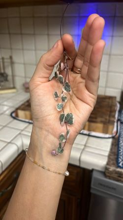Variegated String of Hearts