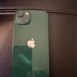 iPhone 13 alpine green