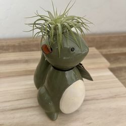 Ceramic Squirrel w/ Leather Ears-Potted Air Plant