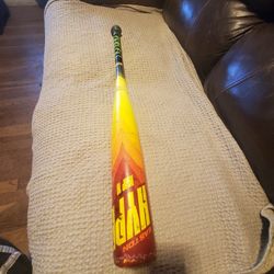 Hype Fire Baseball Bat