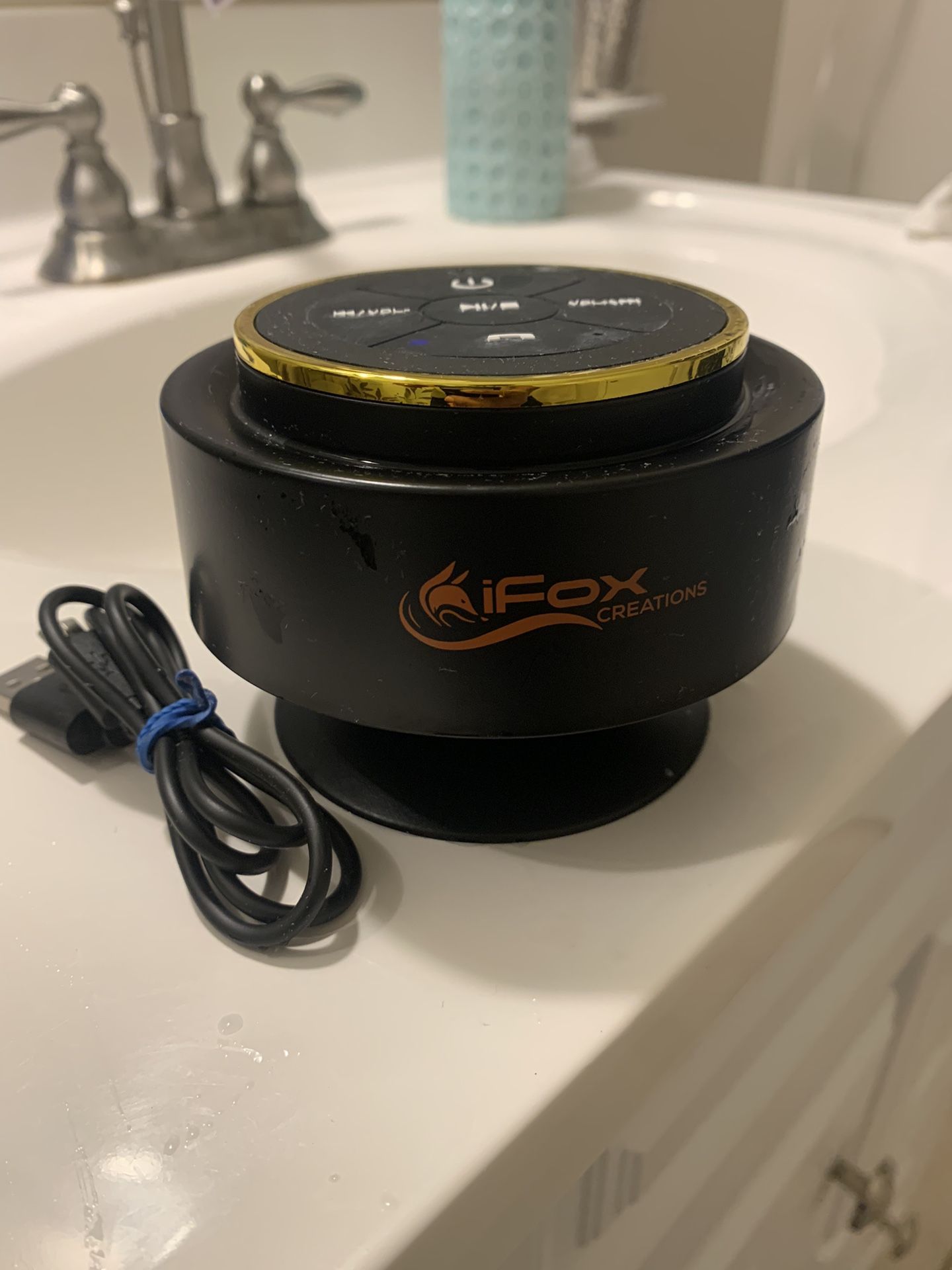Portable Shower Speaker