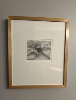 Art Rose No. 1 Carmel Valley