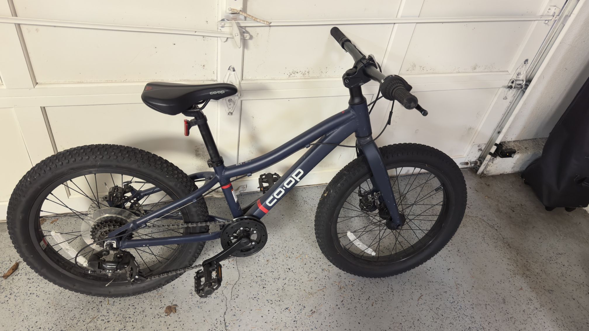 Bike / Kids REI Co-op REV 20 (like New)