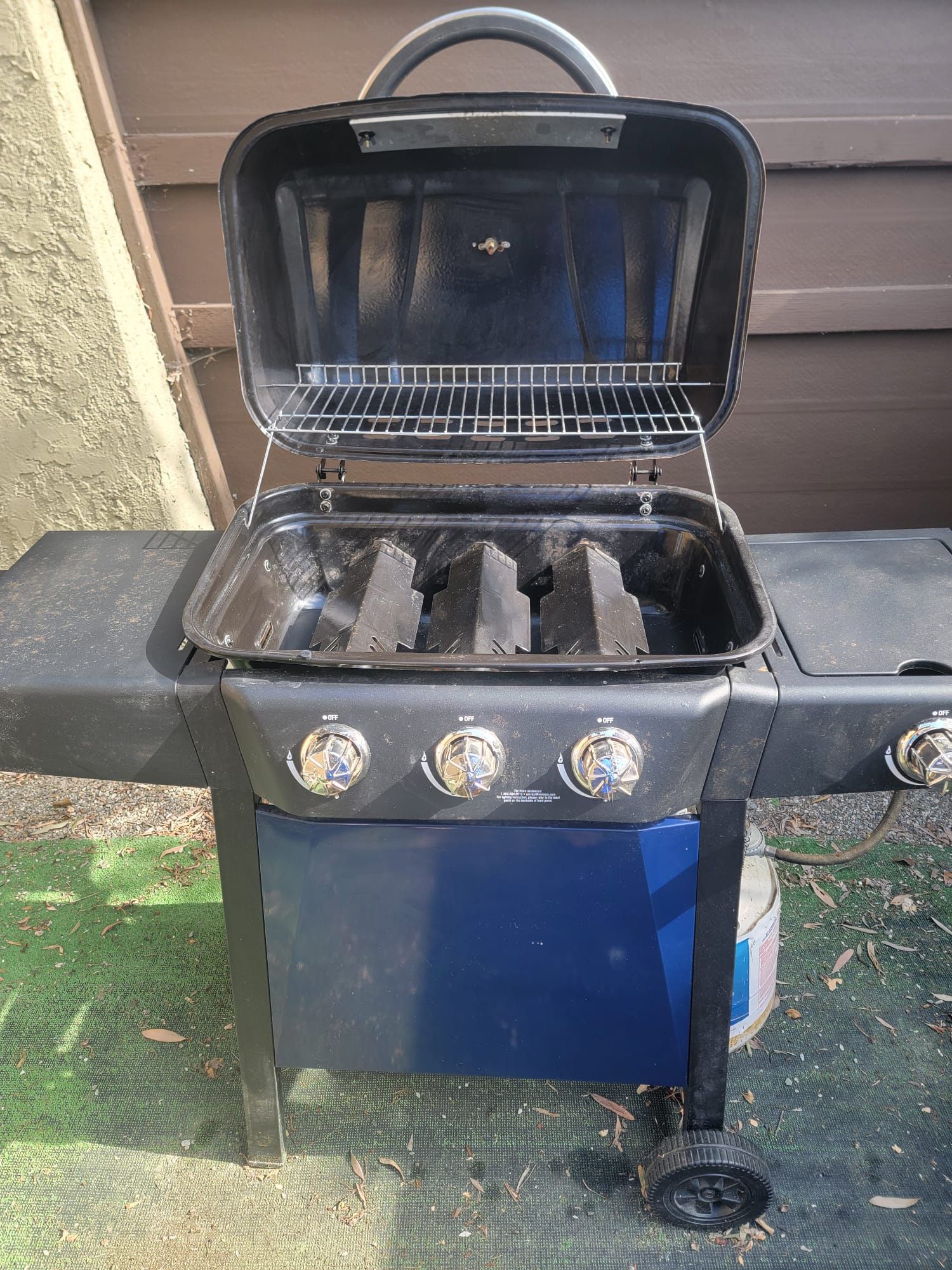 Propane Gas Grill - BBQ
