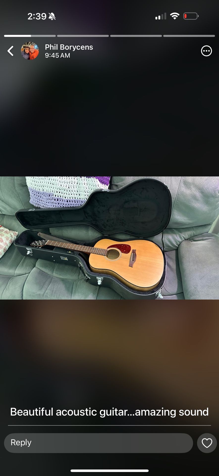 Seagull Guitar 