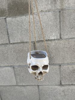 Hanging Halloween Skull Planter
