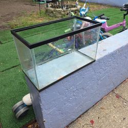 Fish Tank