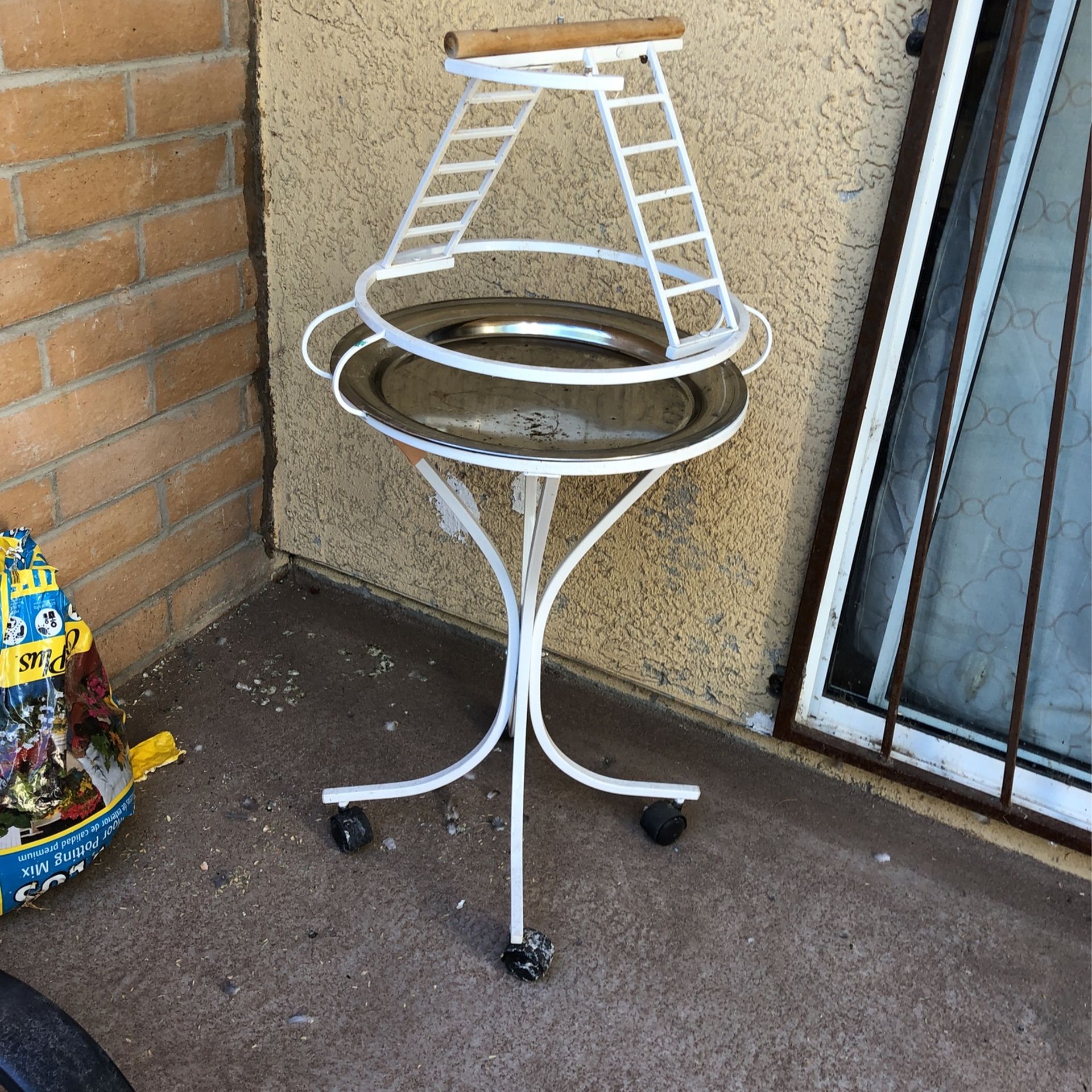 Parrot Playhouse