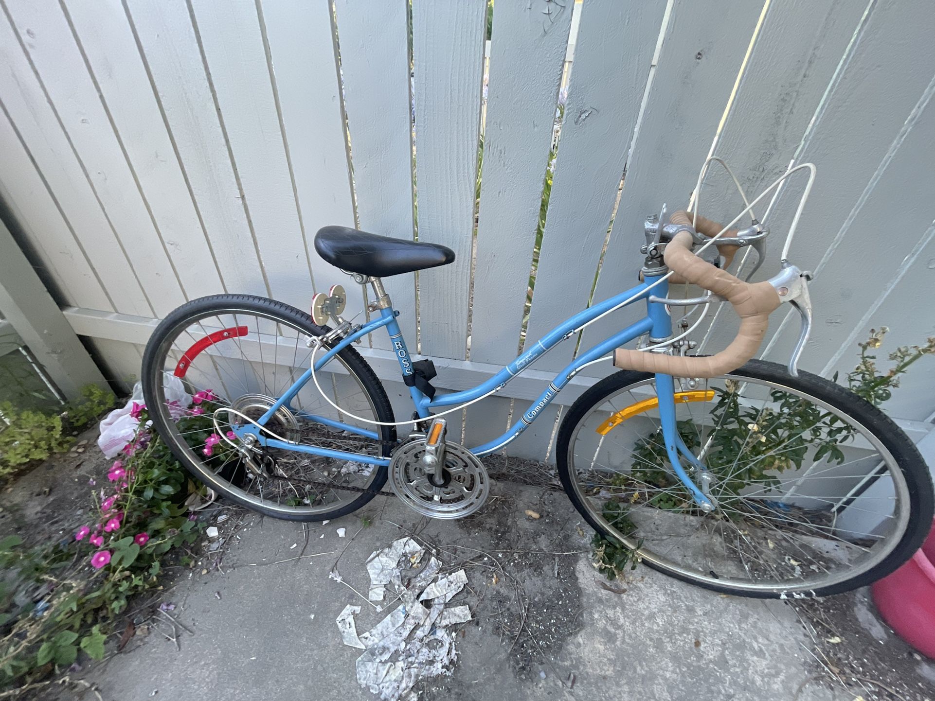 Vintage Bike Ross Compact 10 Speed $150