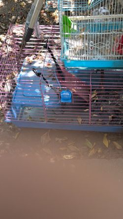 Small animal cage