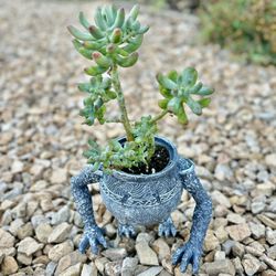 🔥 🔥 🔥 Monster Planter w Healthy Succulents  🪴 Elden's Ring Peripheral Warrior Pot  