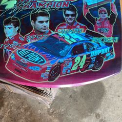 Jeff Gordon Tin Hood