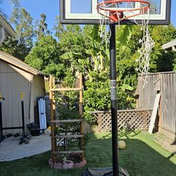 Free Basketball Hoop 