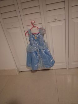 Cinderella costume