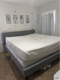 Entire bed