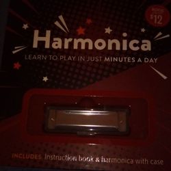 10 Hole Harmonica With Lesson Book  2 available 