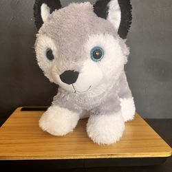 PUPPY - ALASKAN HUSKY /SIBERIAN PUPOY WITH BLUE EYES!  12 INCHES LONG & FLUFFY