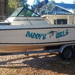 chapparal 224 fishing boat