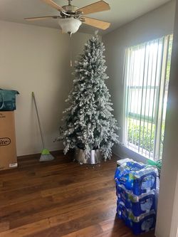 Christmas tree and Christmas decoration