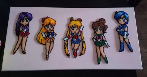 Sailor moon canvas