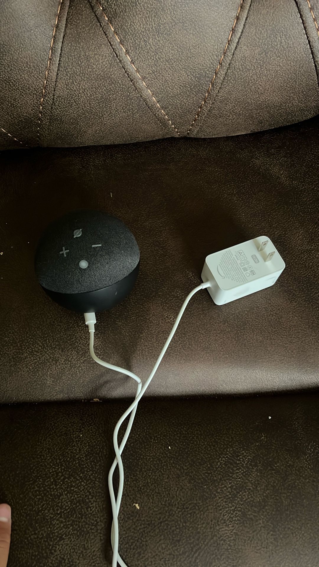 Echo Dot