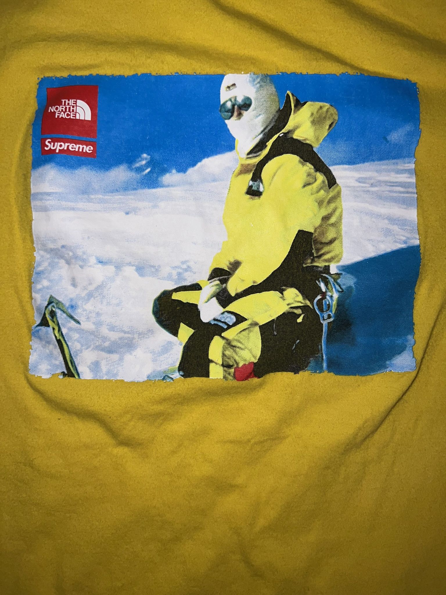 Supreme X North Face