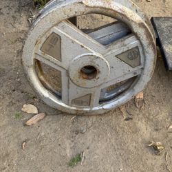 1 Pair Of 45lbs Marcy Plates 