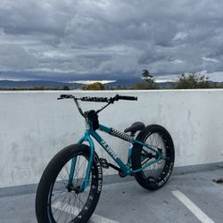 SE Bikes Custom Fat Ripper 