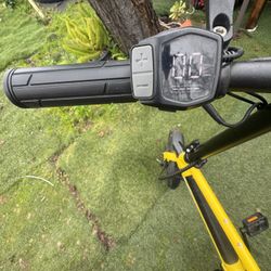 Viribus Electric Bike 