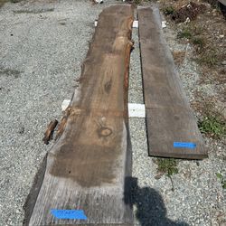 Wood Slabs Live Edge