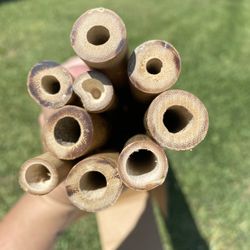 Bamboo 6 Foot Poles