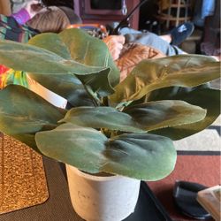 12”x5” Artificial Plant. Looks Real 