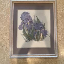 Magdalena Titian Purple Iris Numbered Print In Wooden Frame 22” x 26”