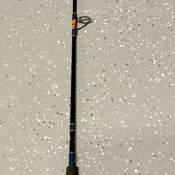 Biscayne Custom Rod 7’ With  Diawa Reel 