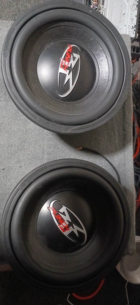 Rockford Fosgate 12s