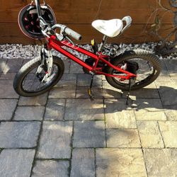 Royalbaby Freestyle Kids Bike