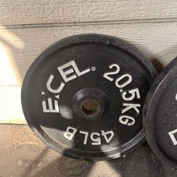 45 Pound Set The Cheapest You Will Find