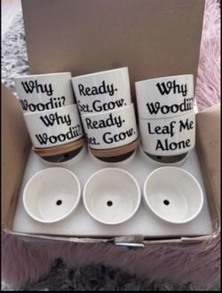 Succulent/ Hoya Ceramic pots (address in pics)