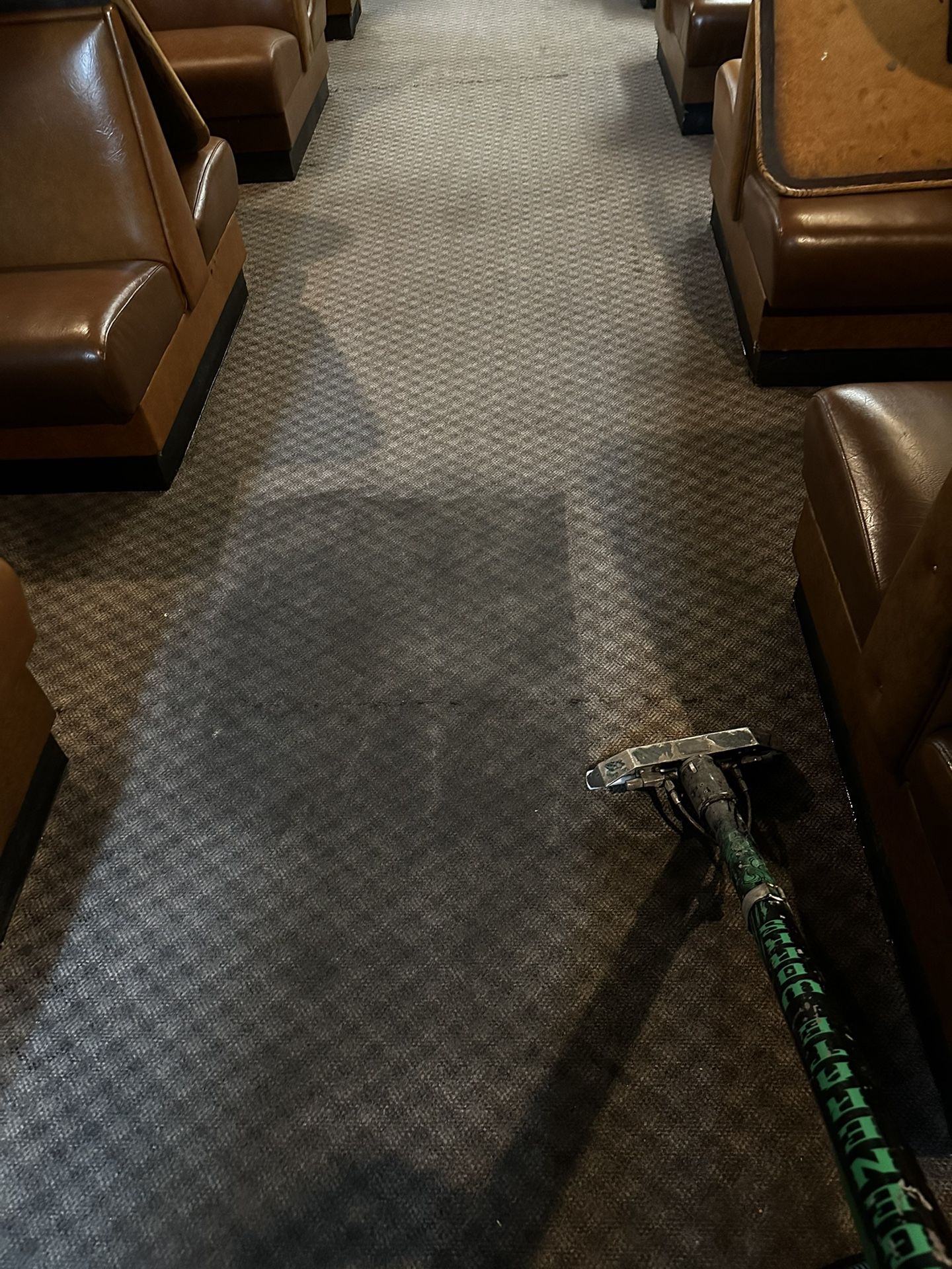 Steam Cleaner