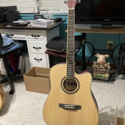 Pyle Acoustic Guitar and Gig Bag