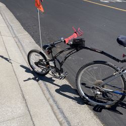 Trail Bike 
