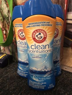 Arm and hammer