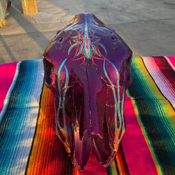 Kandy painted Cow Skull With Gold Leaf And Freehand Pinstripes