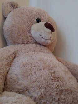 Giant Bear 4feet
