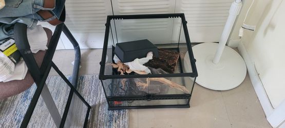 Terrarium