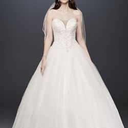 Ball gown wedding dress & veil
