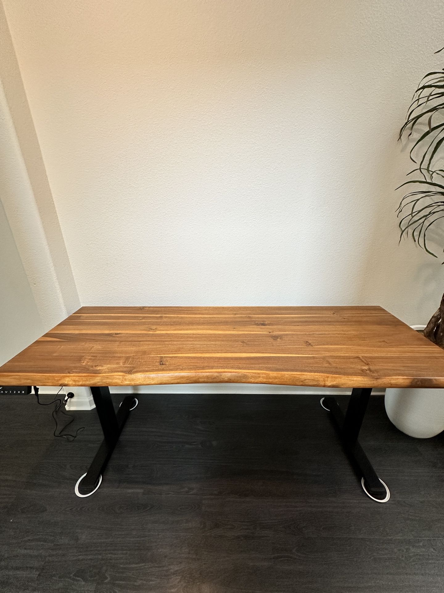 Live Edge Sit Stand Computer Desk