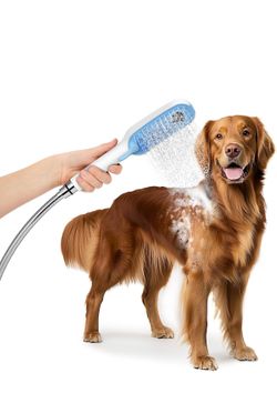 Dog Shower