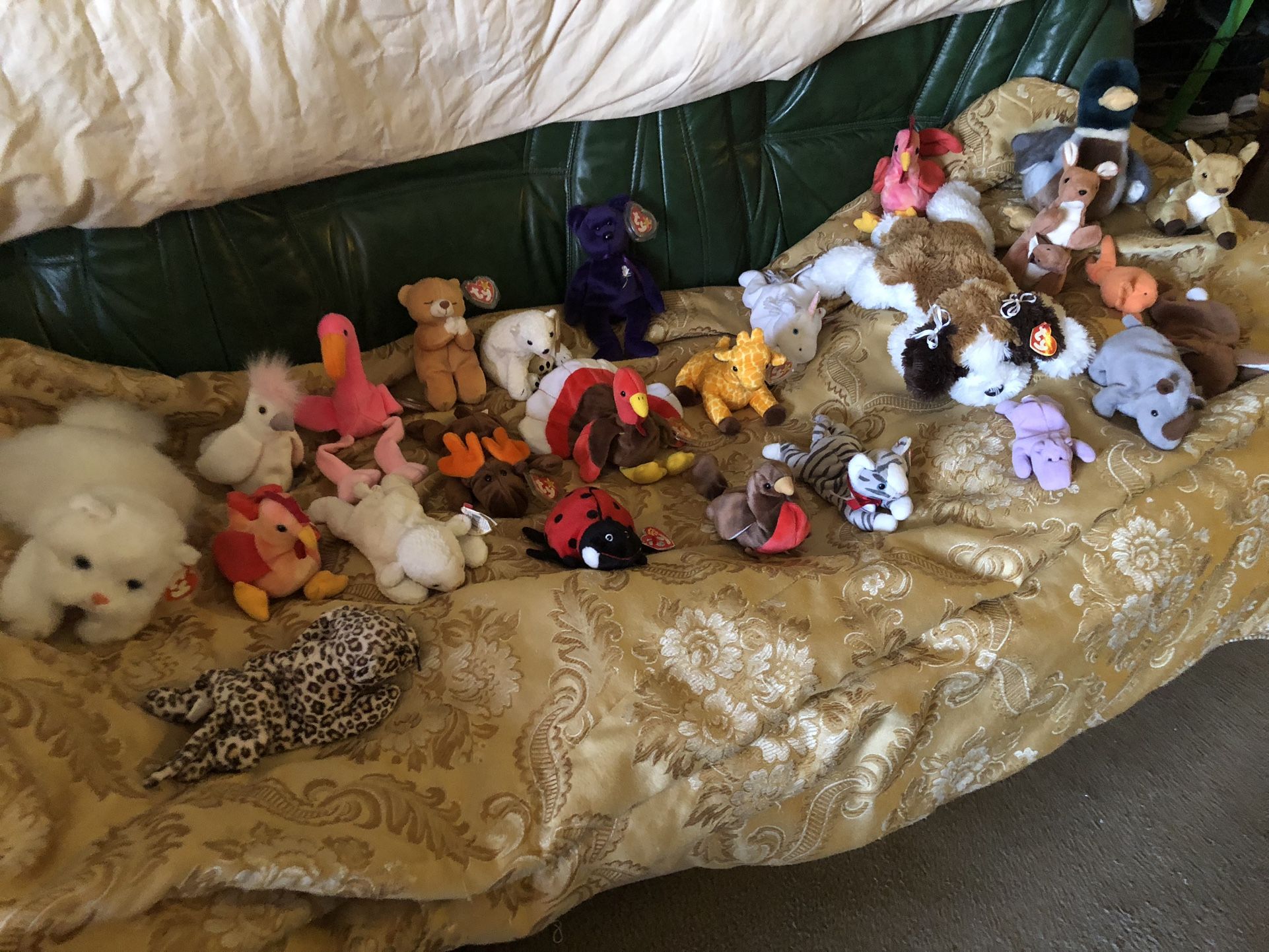 BEANIE BABY COLLECTION!